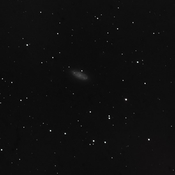 NGC 2975 NGC 2975
